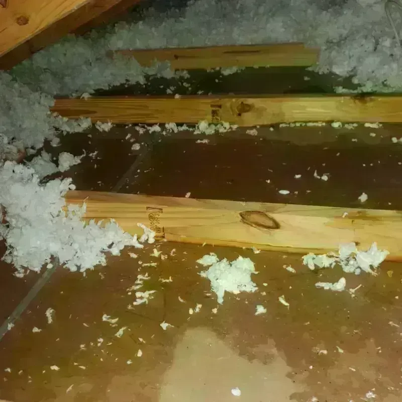 Attic Water Damage in Union City, MI